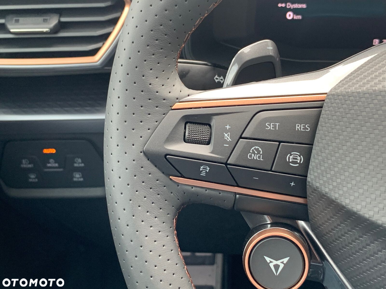 Cupra Formentor 1.5 eTSI mHEV DSG - 14