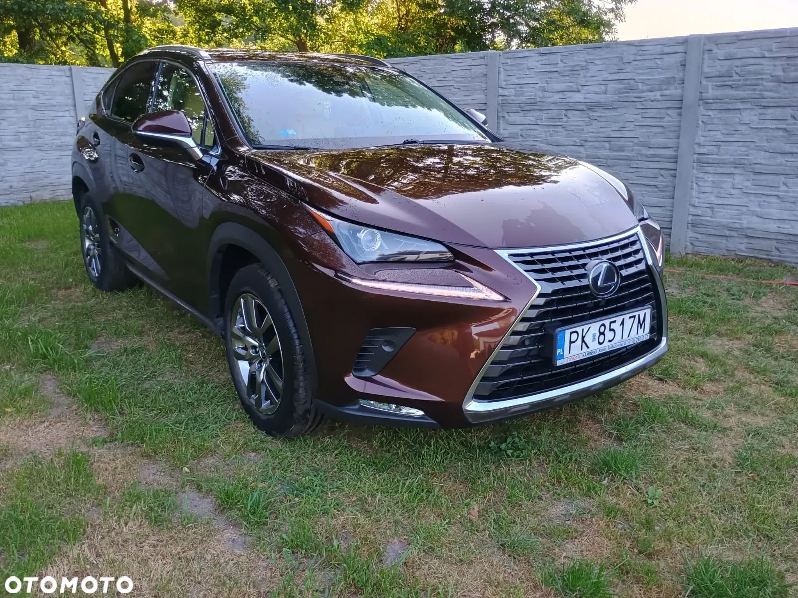 Lexus NX 300h Elegance AWD - 1