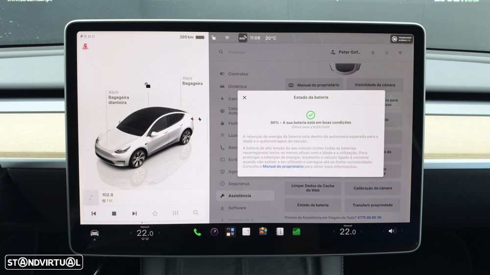 Tesla Model Y Standard - 19
