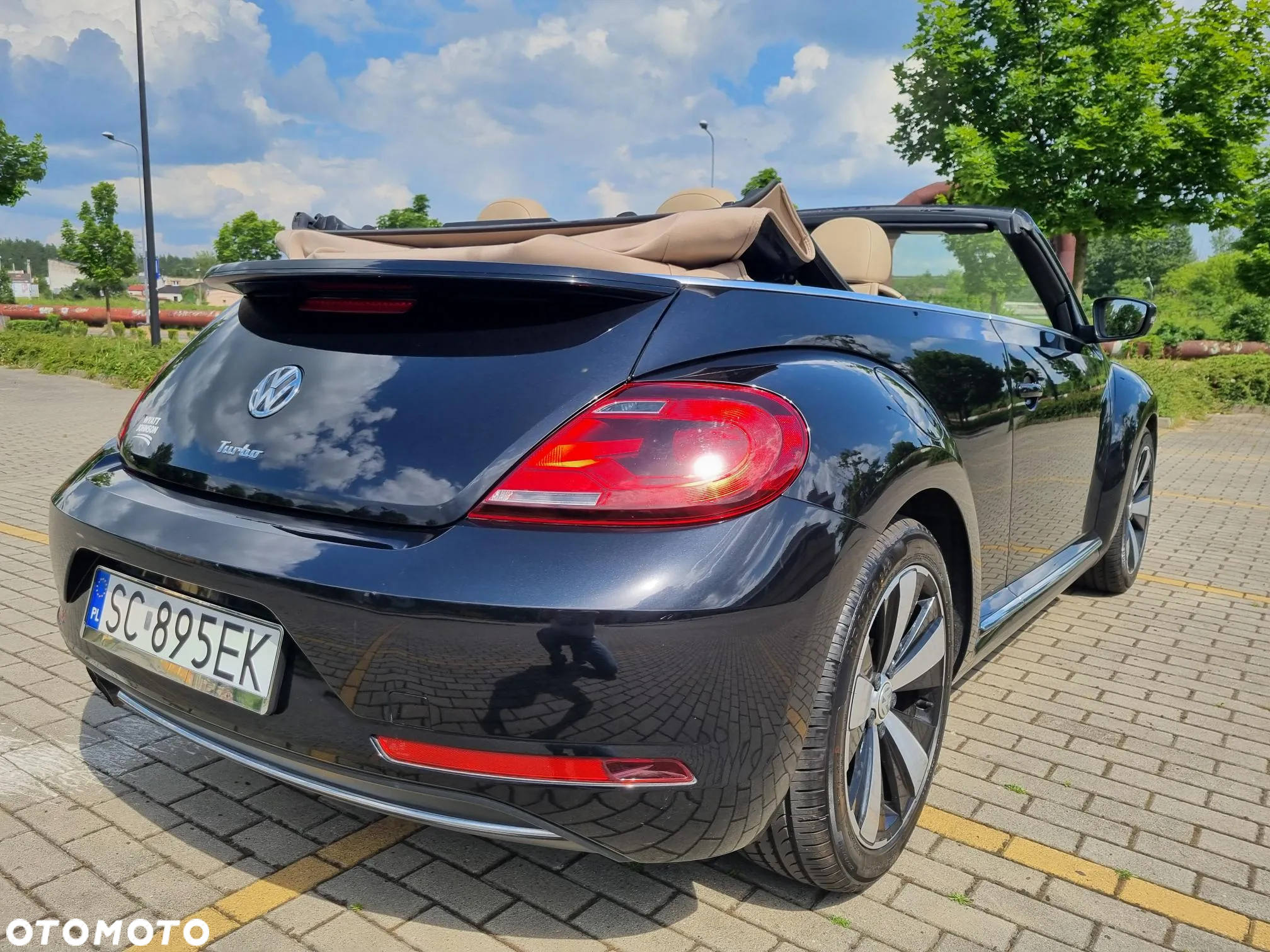 Volkswagen Beetle - 5