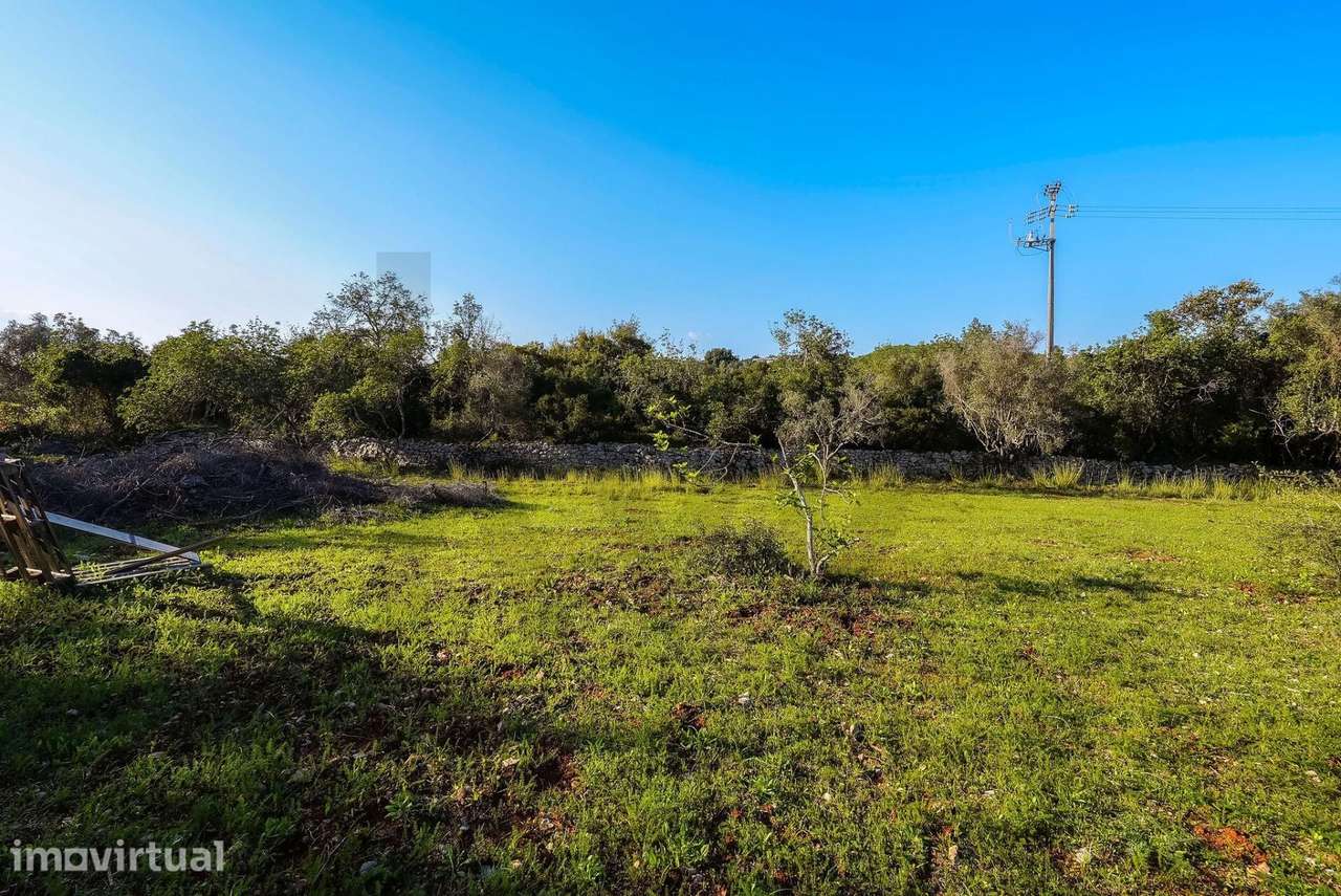 Terreno Rústico com 15.720m2 em Agostos - Santa Barbara de Nexe - Faro - Grande imagem: 3/27