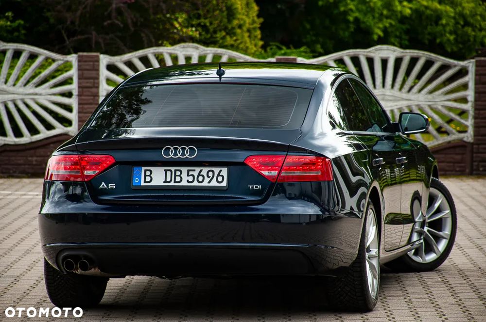 Audi A5 Sportback 2.0 TDI DPF - 16
