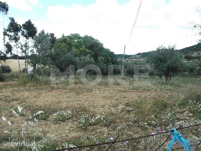 Terreno - Évora/Redondo - Grande imagem: 5/6