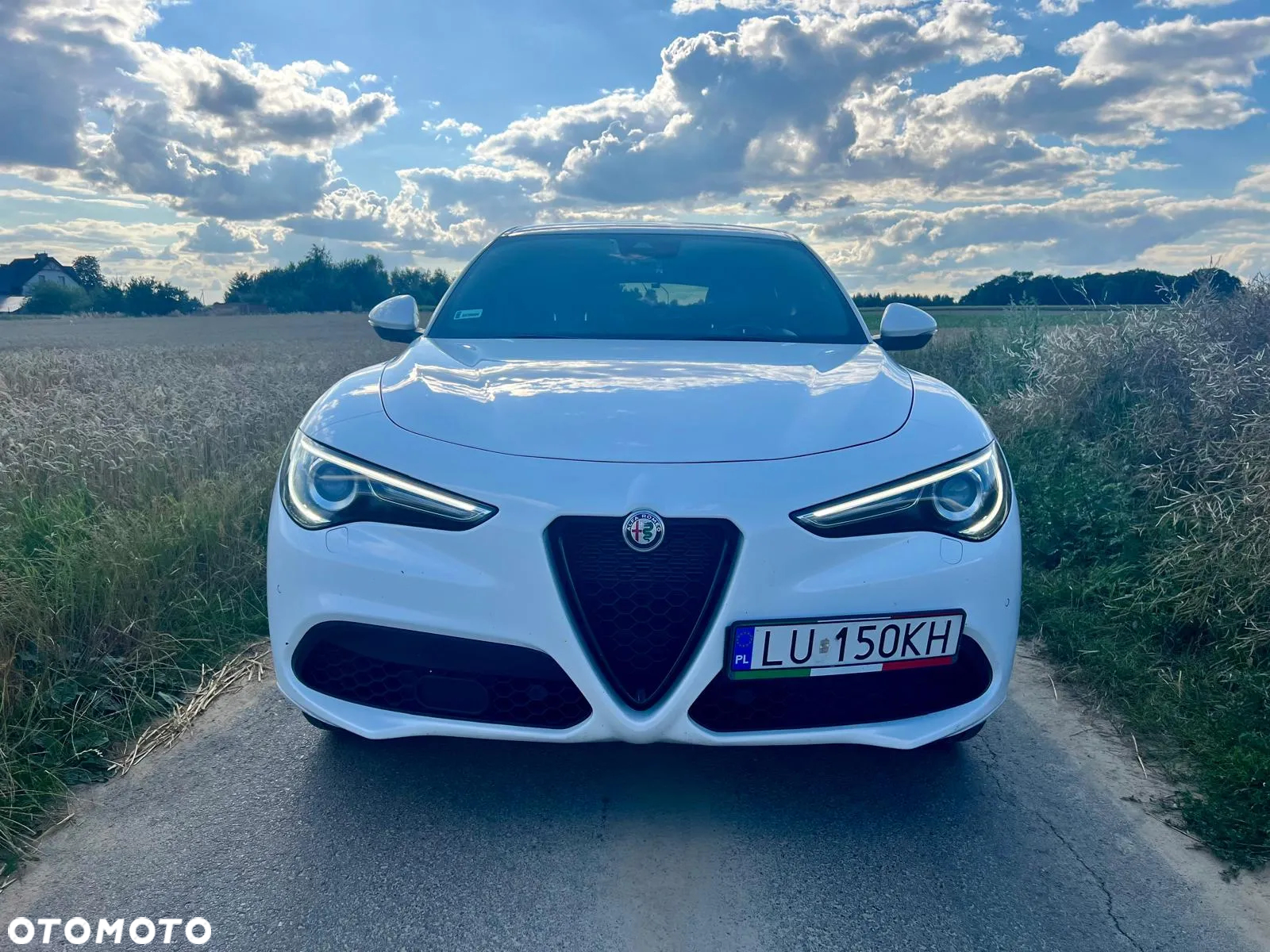 Alfa Romeo Stelvio 2.0 Turbo Veloce Q4 - 4