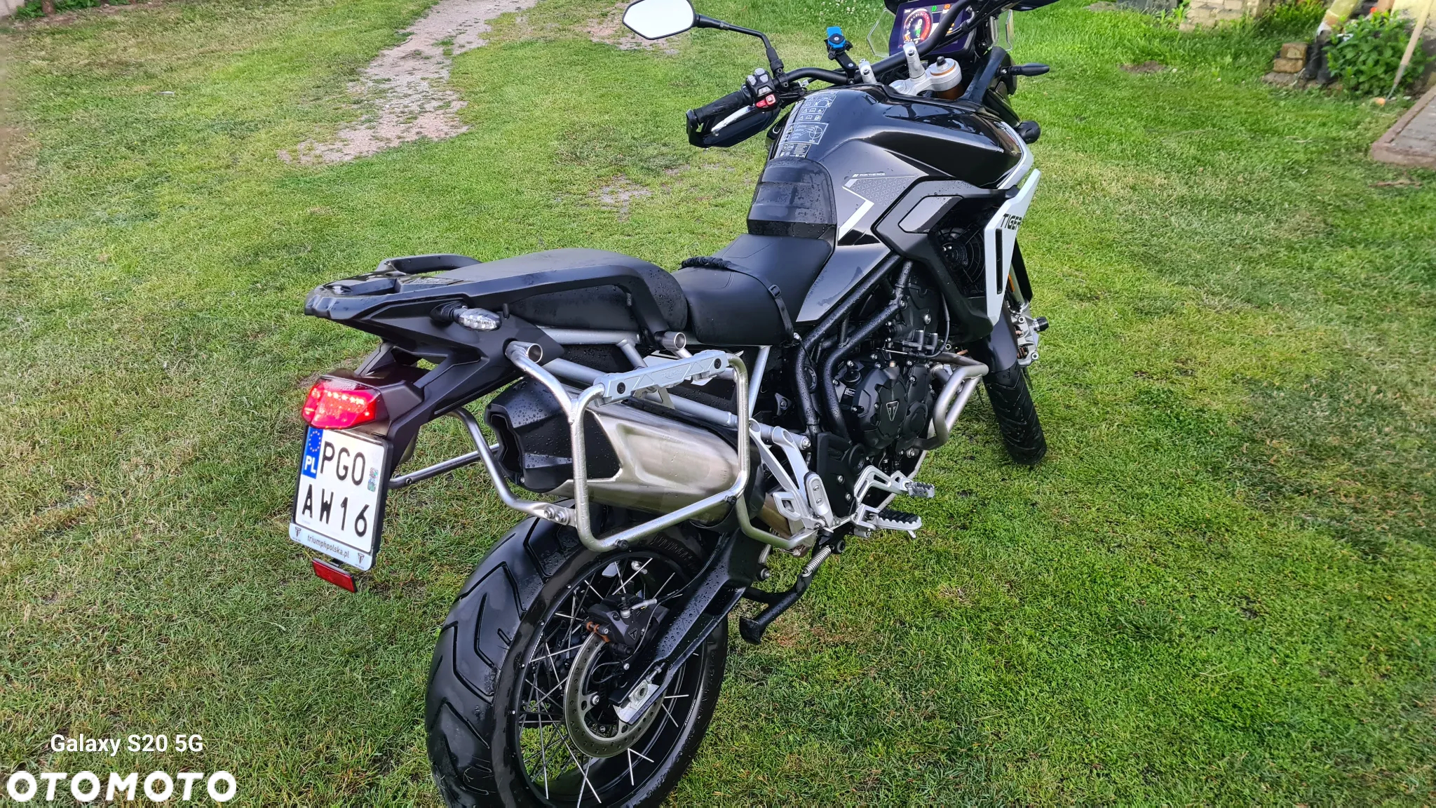 Triumph Tiger - 14