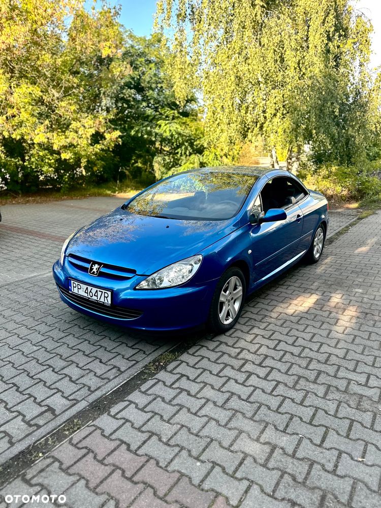 Peugeot 307 CC 2.0 - 6