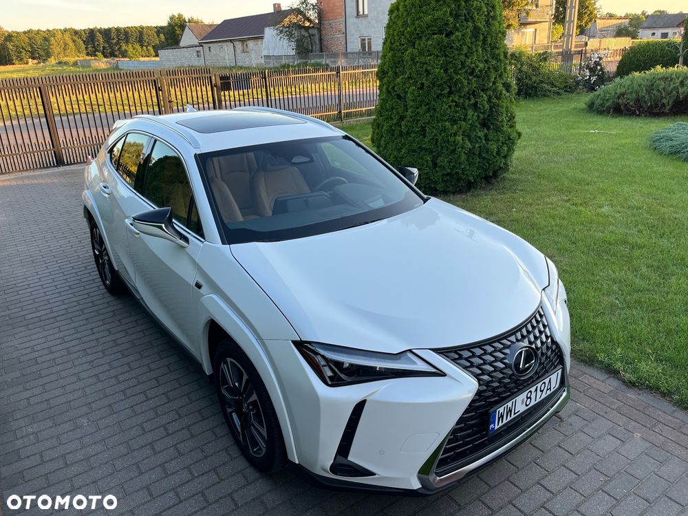 Lexus UX - 12