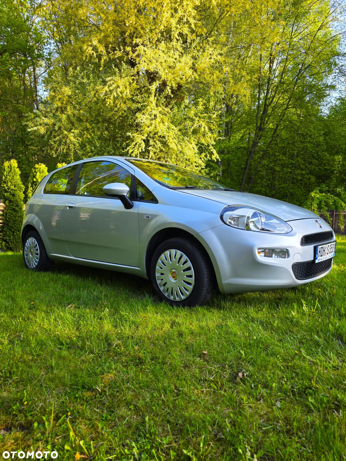 Fiat Punto - 3