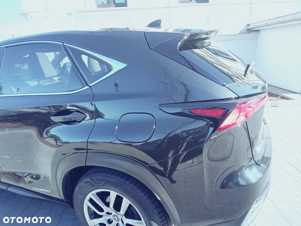 Lexus NX - 31