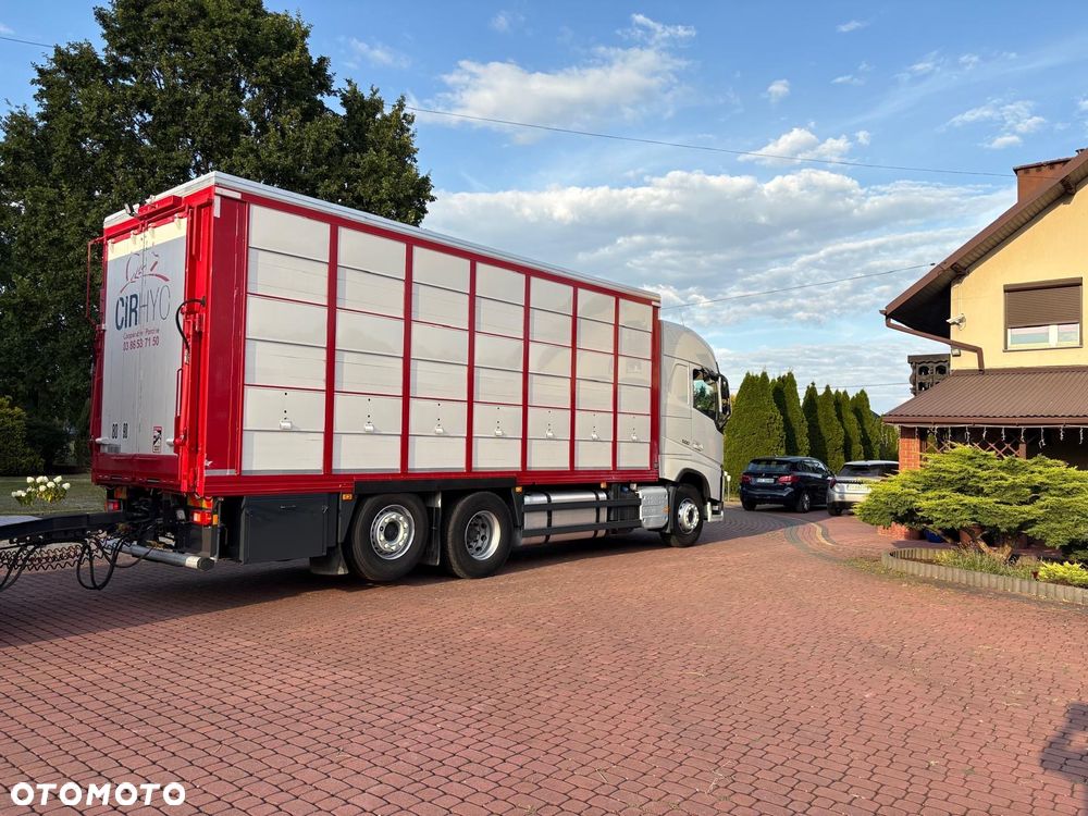 Volvo FH 500* DO BYDŁA ŚWIŃ ŻYWCA* GUITTON* DACH PODNOSZONY* 3 POKŁADY* SUPER STAN* - 5