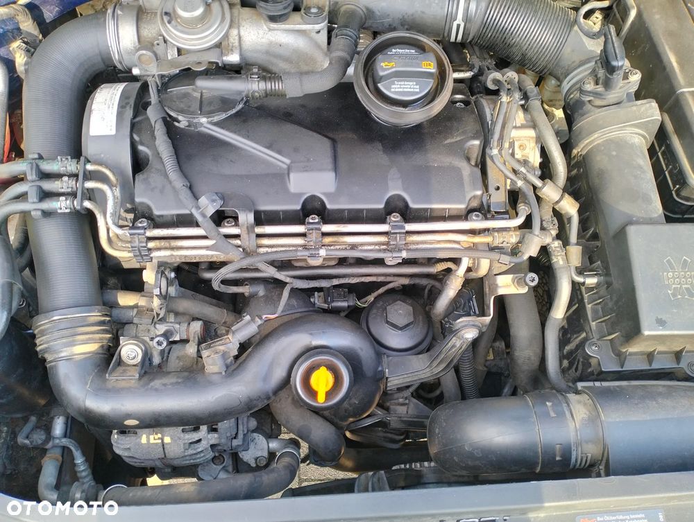 Volkswagen Golf Plus 1.9 TDI Cross - 4