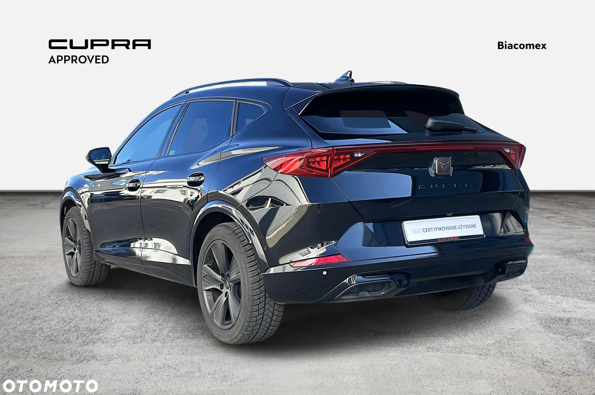 Cupra Formentor 2.0 TSI 4Drive DSG - 3