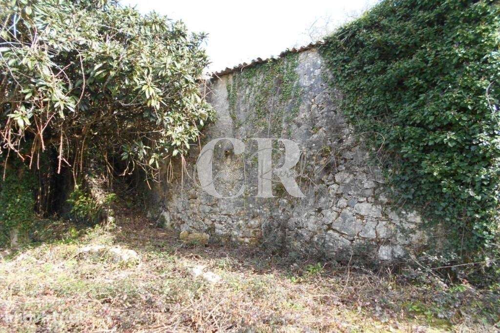 Casa em ruina para recuperar próxima da vila de Ansião. - Grande imagem: 3/22