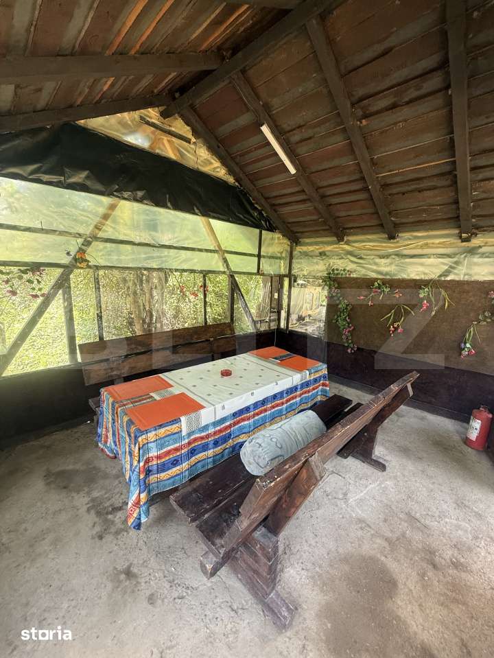 Proprietate cu piscina/ciubar, zona Pietrari - Imagine principală: 3/19
