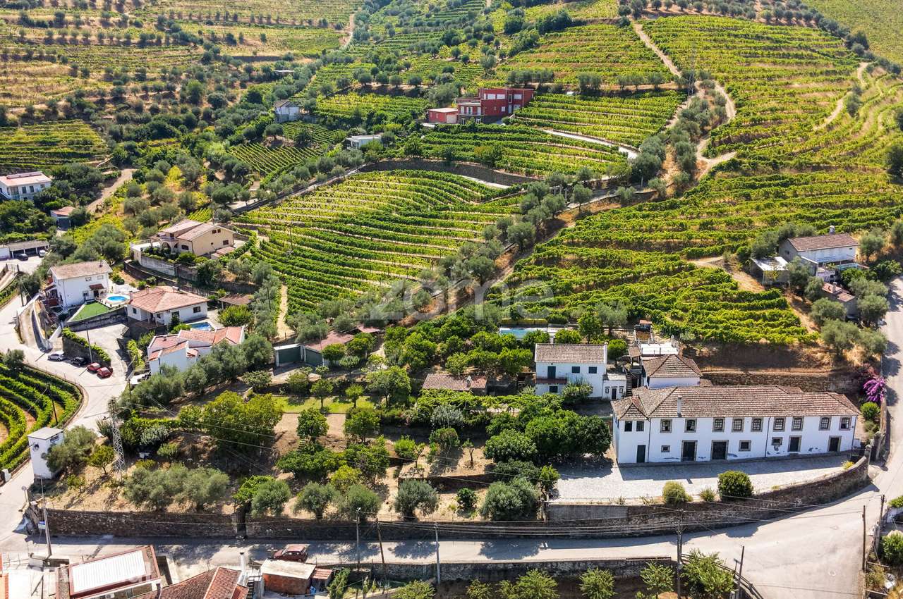 “Quinta Casa do Cruzeiro” com vinha - Douro - Folgosa - Grande imagem: 5/30