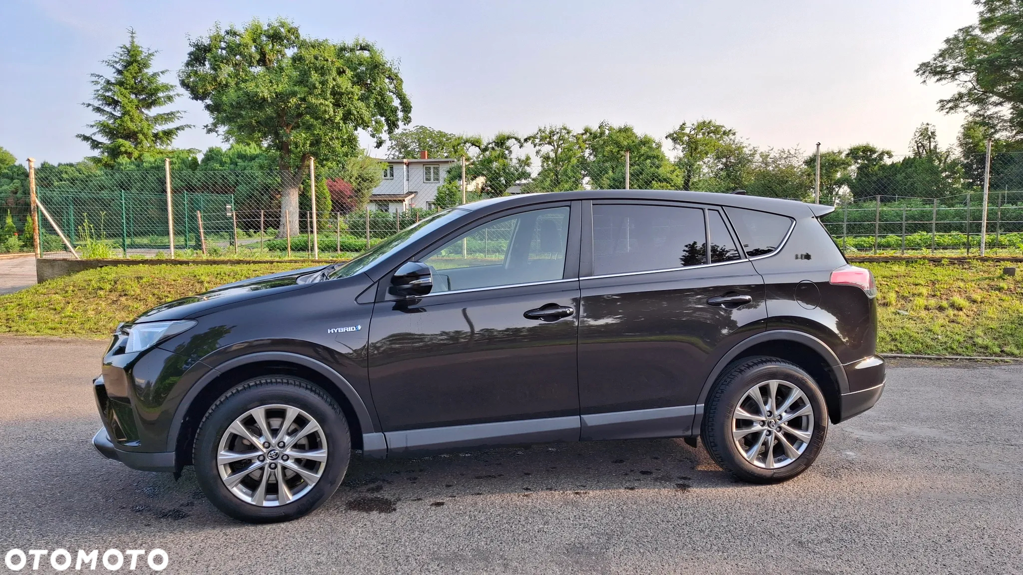 Toyota RAV4 Hybrid Gold 4x2 - 8