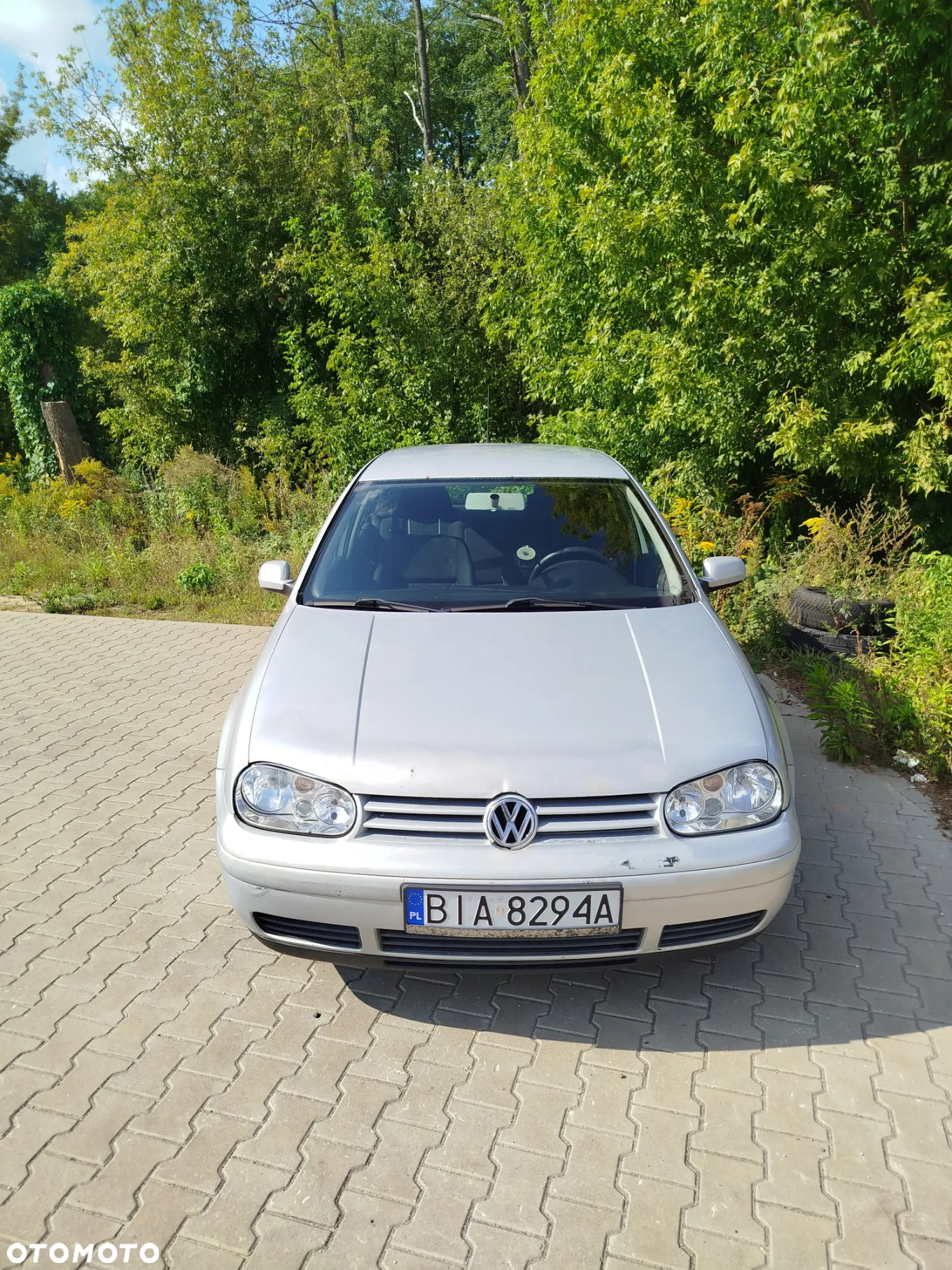 Volkswagen Golf 1.9 TDI - 2