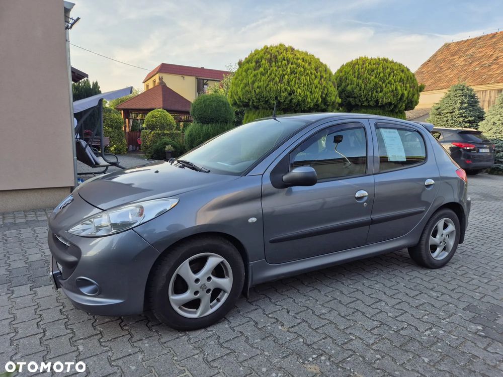 Peugeot 206 plus - 1