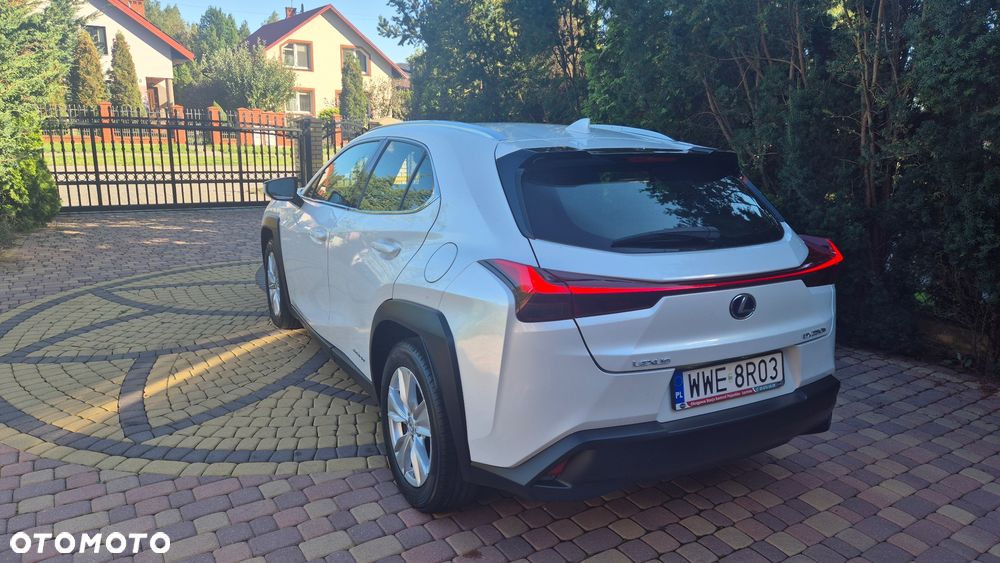 Lexus UX 250h Business Edition - 7