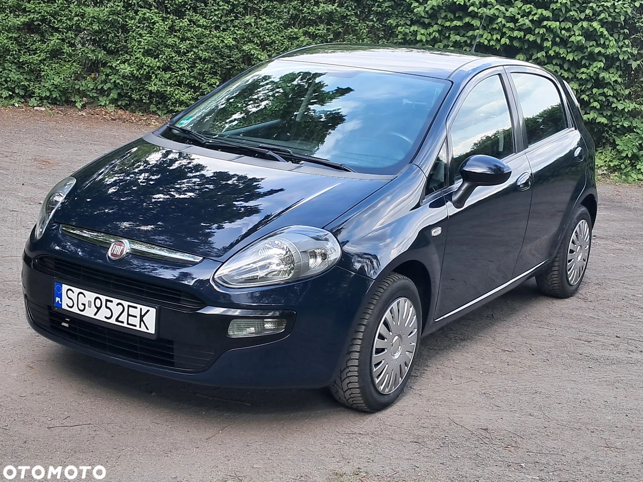 Fiat Punto Evo - 1