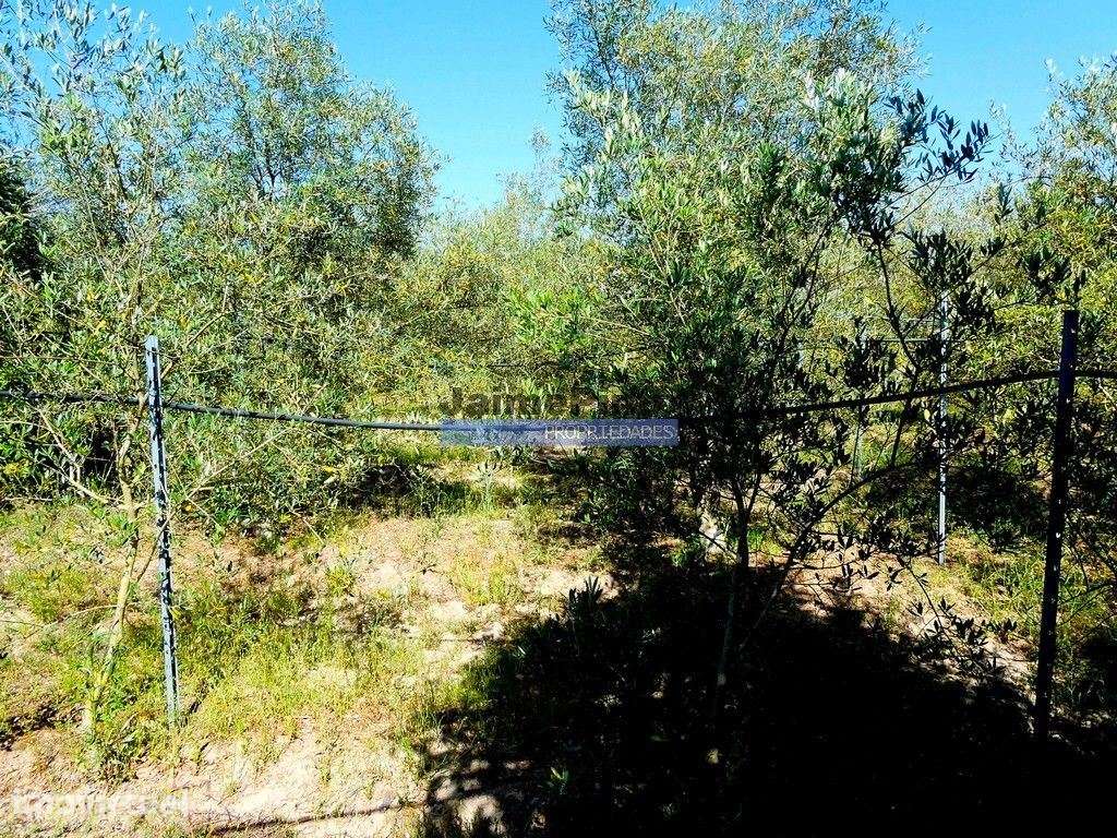 Quinta, Moradia V6, em Pegões. Portugal, Setúbal, Montijo. - Grande imagem: 5/8