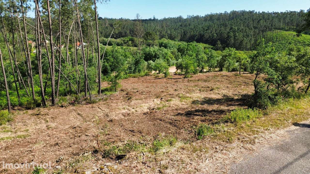 Terreno Construível em Pombal com Vista Panorâmica - Grande imagem: 5/19