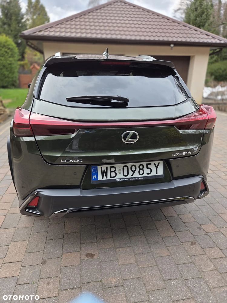 Lexus UX 200 GPF F Sport Edition 2WD - 5