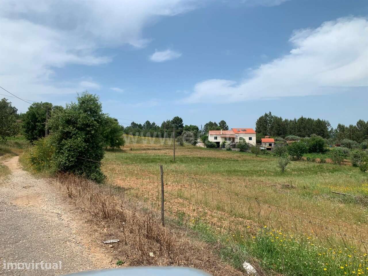 Terreno Misto / Fundão, Enxames - Grande imagem: 4/16