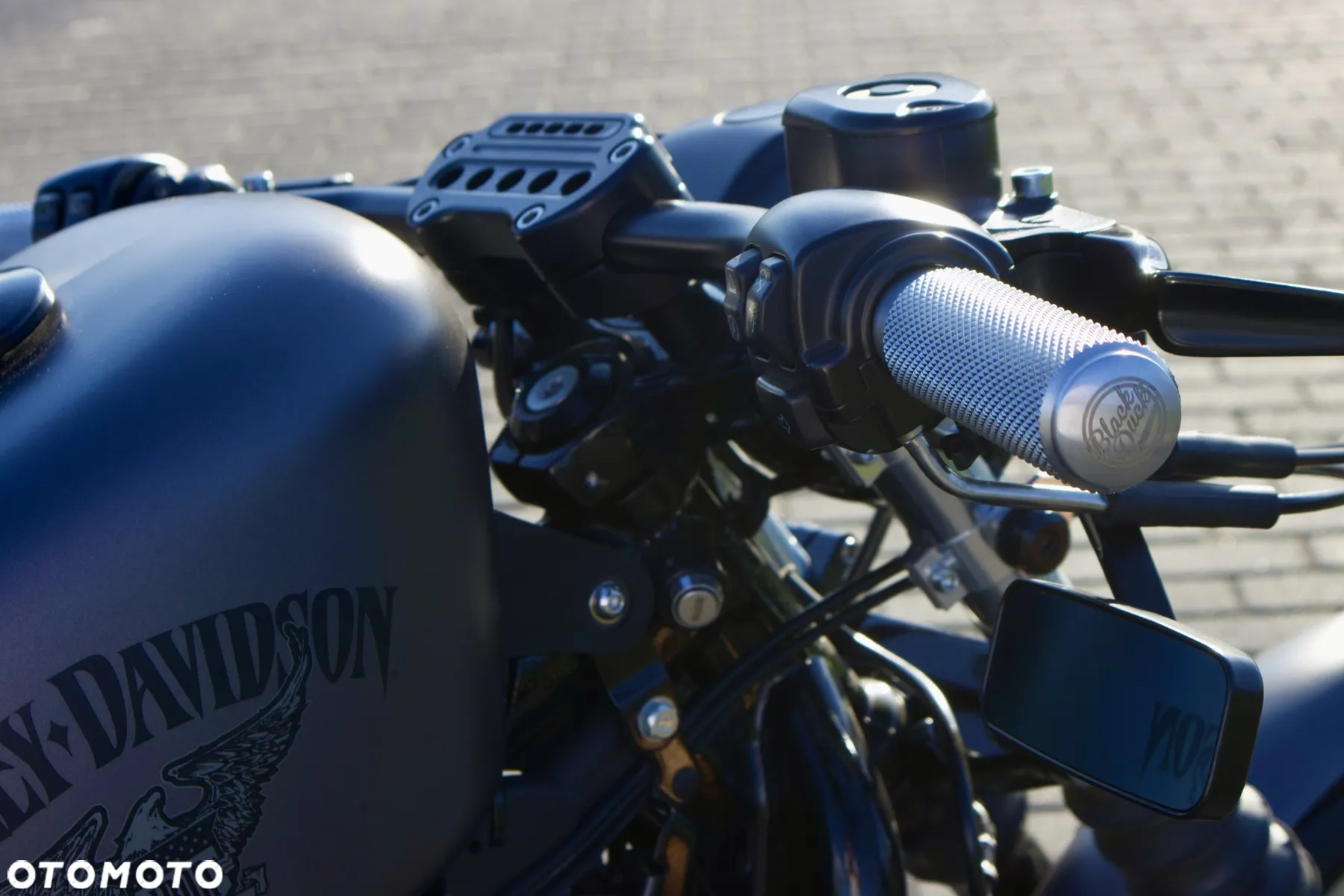 Harley-Davidson Sportster Iron 883 - 22
