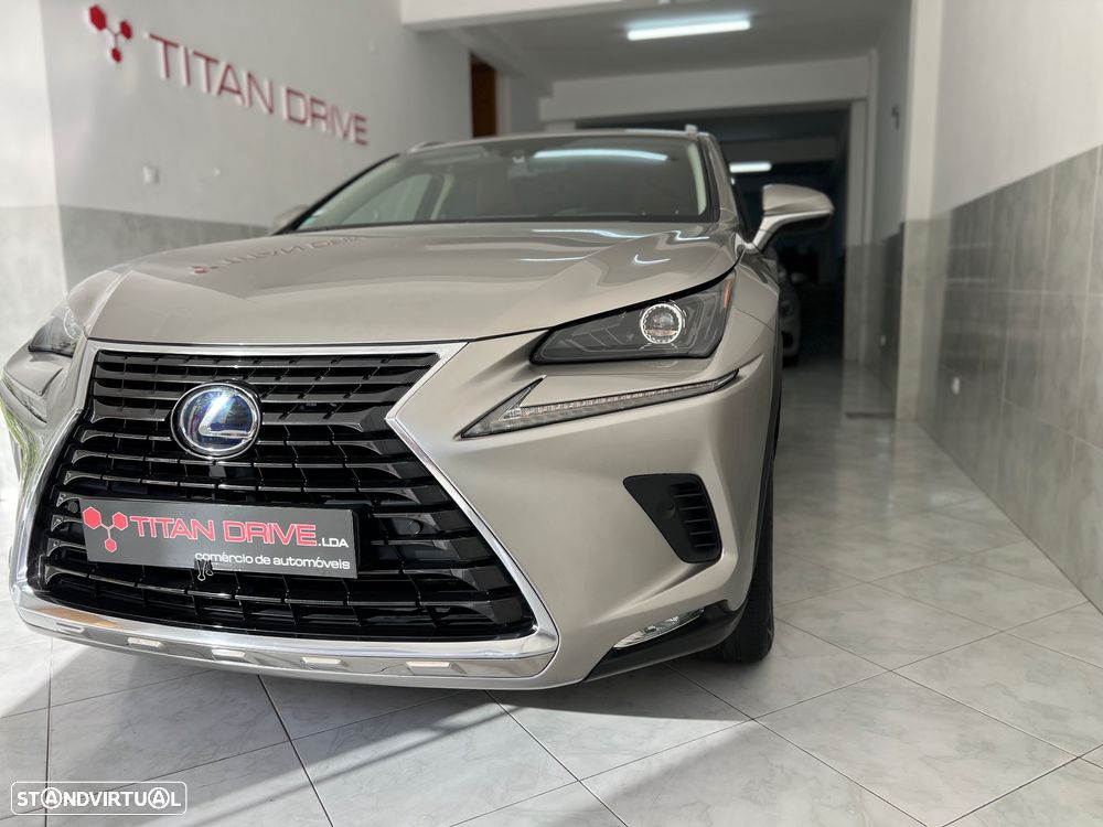 Lexus NX 300h Business - 3