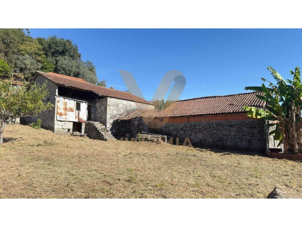 Propriedade com Duas Casas Antigas em Pedra para Restauro - Padreir... - Grande imagem: 2/33
