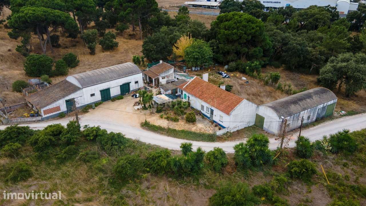 Quinta dos Batudes - Palmela - Grande imagem: 5/20