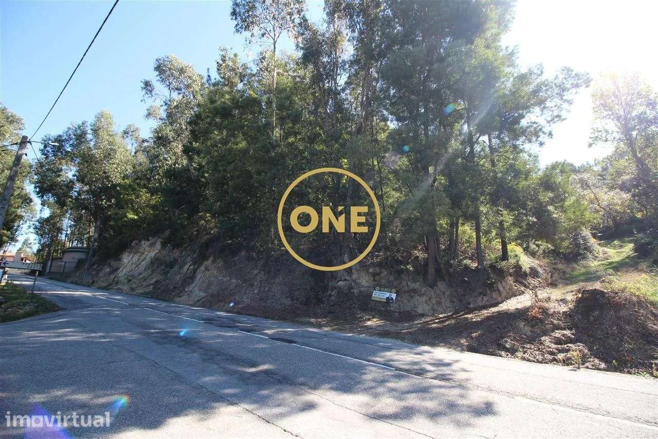 Terreno/Bouça com 8.426m2 em Armil/Fafe para venda - Grande imagem: 3/6