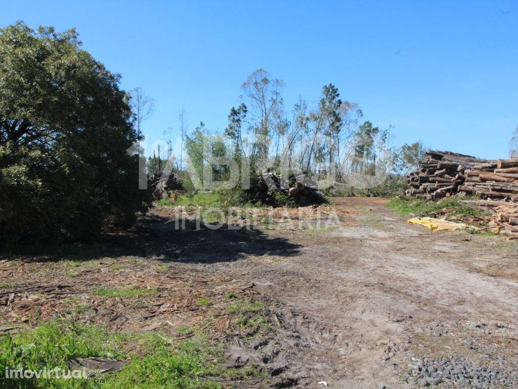 Venda de Terreno para Construção de empreendimento de moradias, Ped... - Grande imagem: 2/4