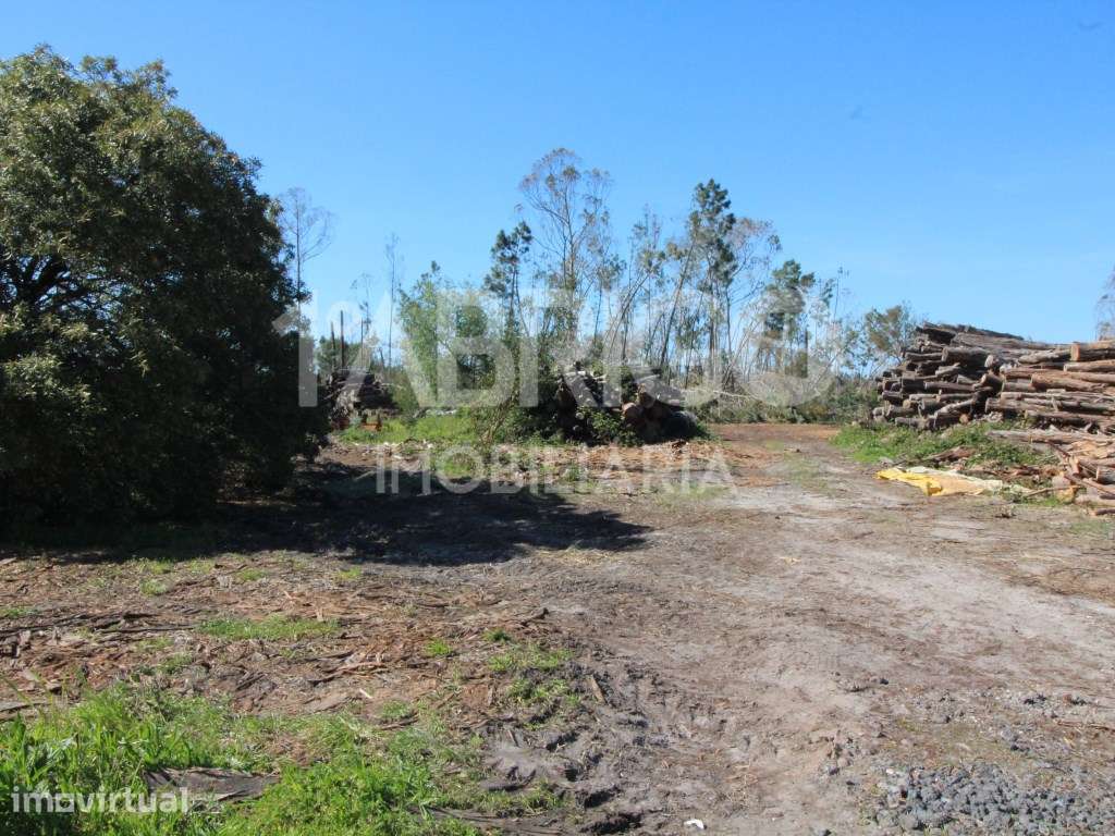 Venda de Terreno para Construção de empreendimento de moradias, Ped... - Grande imagem: 2/4