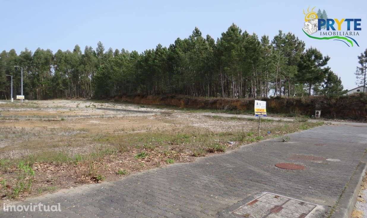 Lote para construção em urbanização no Alto Ventoso-Cernache Bonjardim - Grande imagem: 5/5