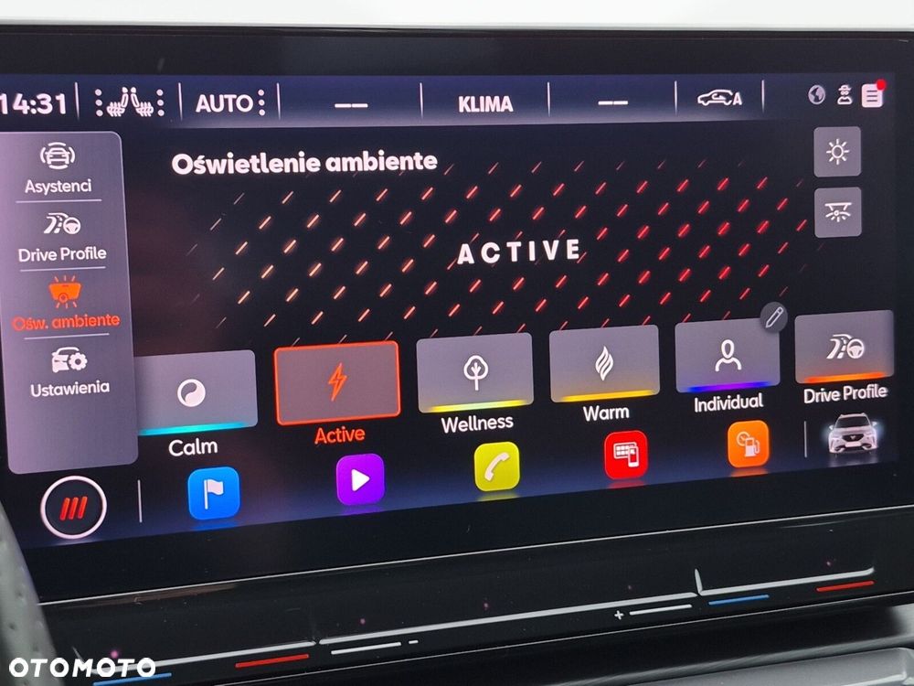 Cupra Formentor 2.0 TSI 4Drive DSG - 29