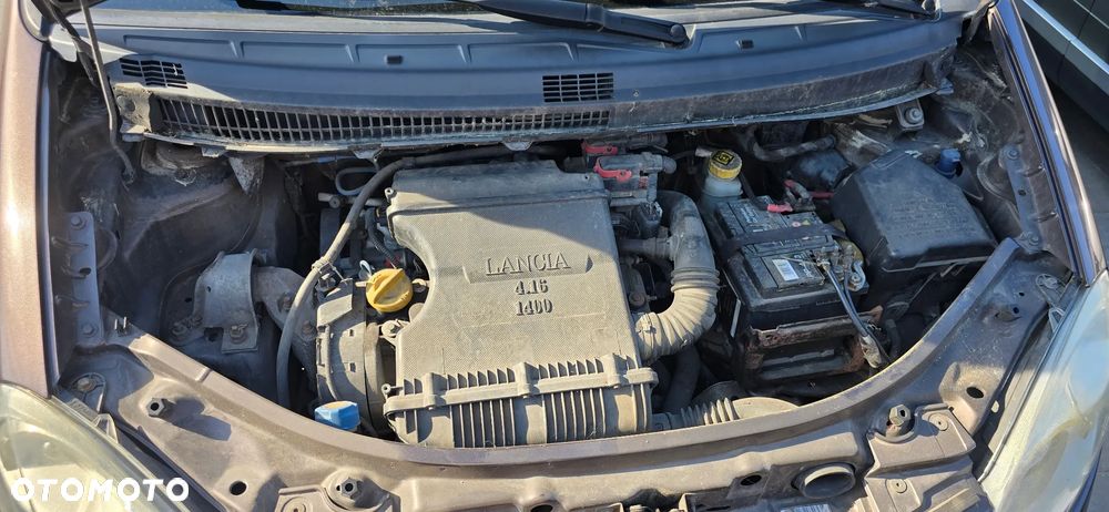 Lancia Musa - 28
