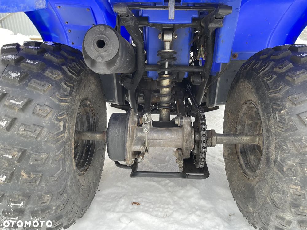 Yamaha Grizzly - 7