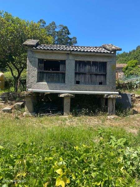 Terreno com casa para reconstruir, garagem e espigueiro - Grande imagem: 3/4