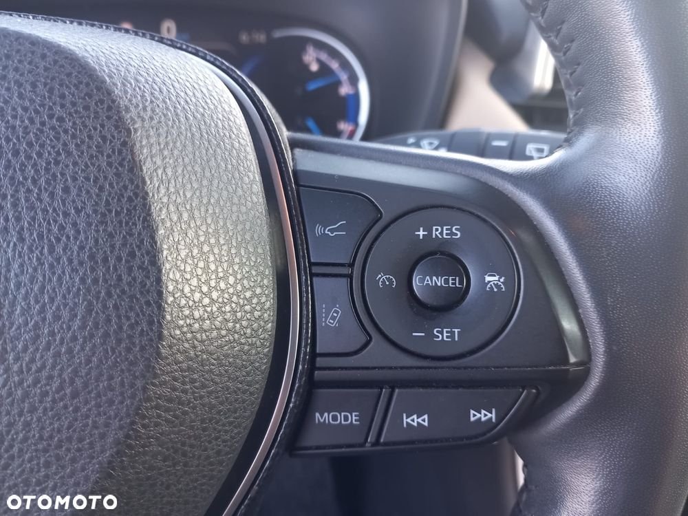 Toyota RAV4 2.5 Hybrid Executive 4x2 - 10