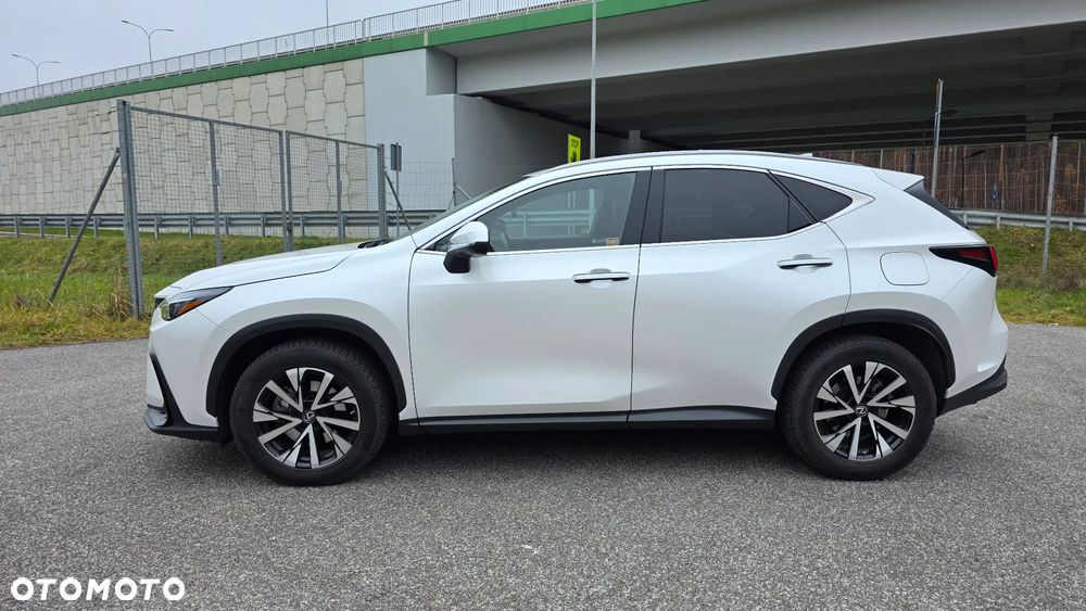 Lexus NX 350h Prestige AWD - 7