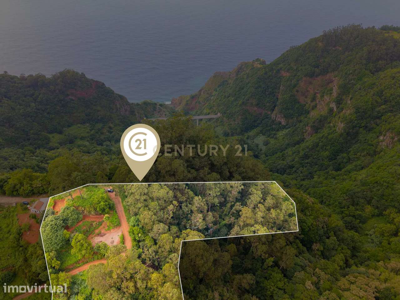 Terreno em São Jorge com Vistas ao Mar e Montanha Únicas - Grande imagem: 4/13