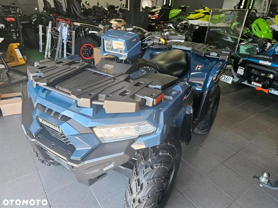 Kawasaki Brute Force - 14