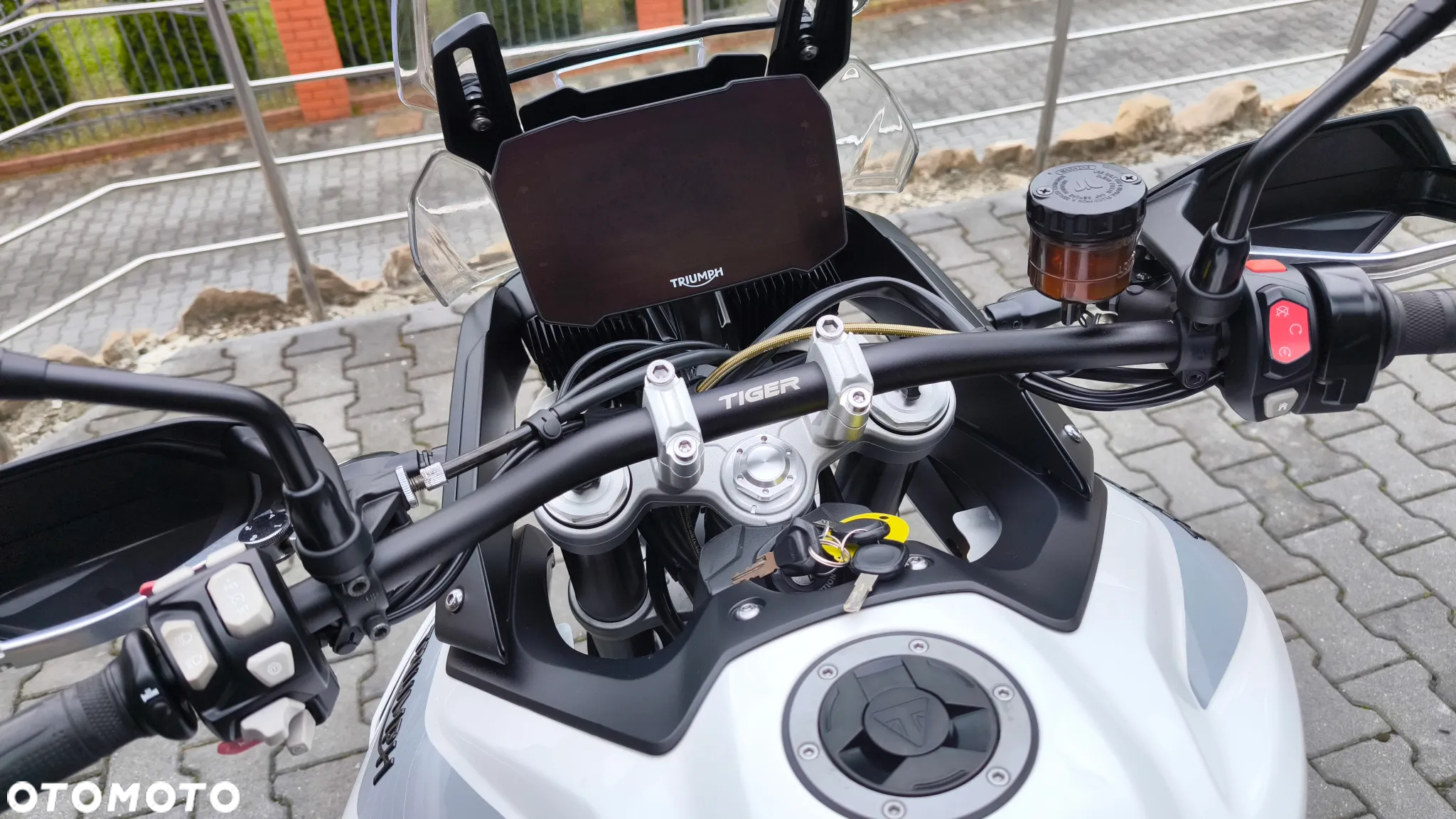 Triumph Tiger - 24