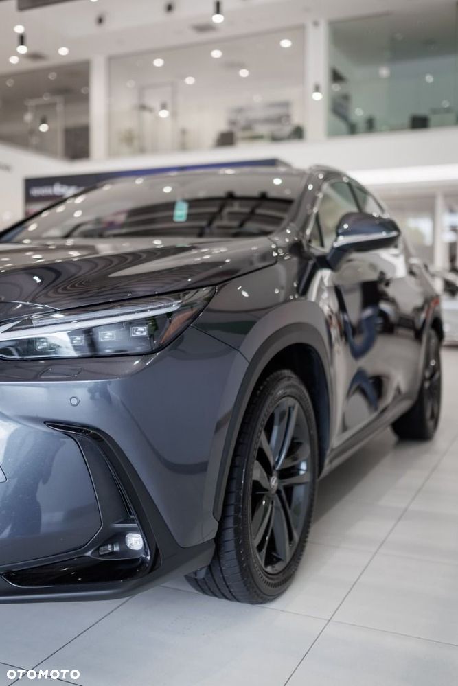 Lexus NX - 13