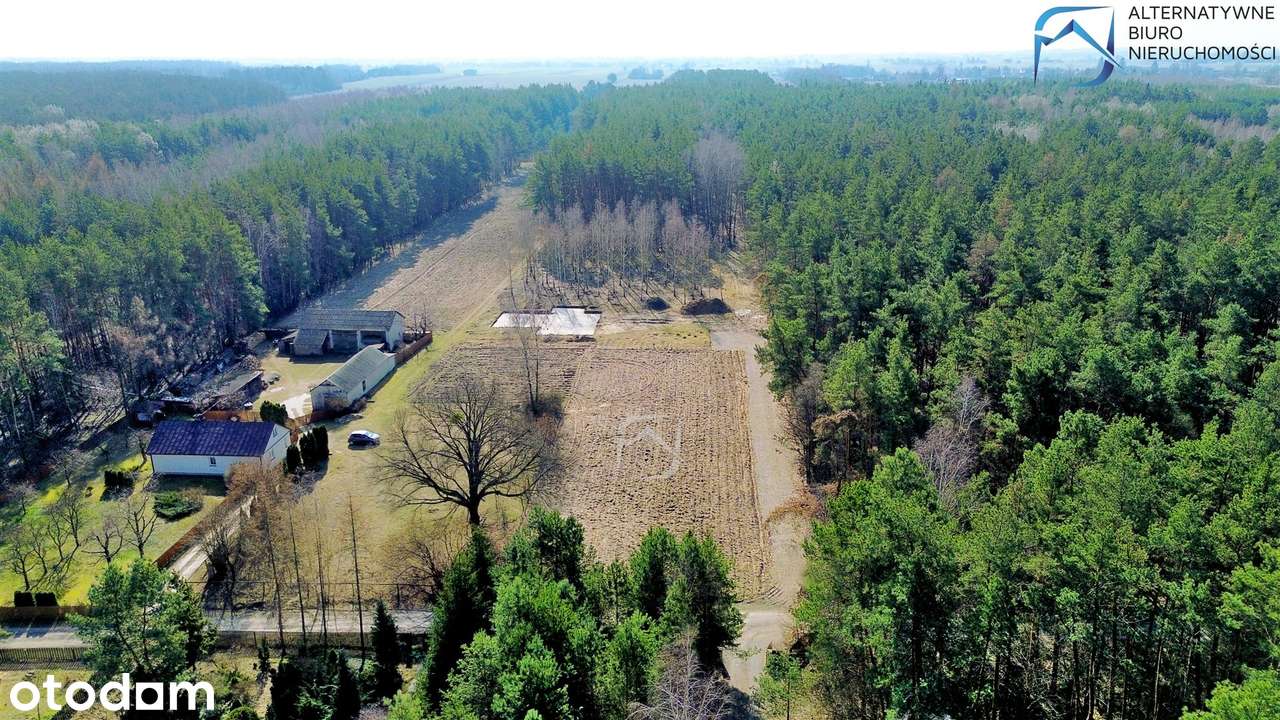 Działka w otulinie lasu - Stoczek - Pełny obrazek: 2/7