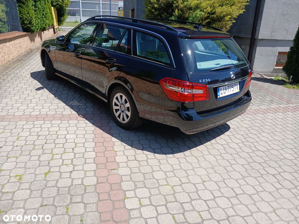 Mercedes-Benz Klasa E 250 CDI Classic - 19