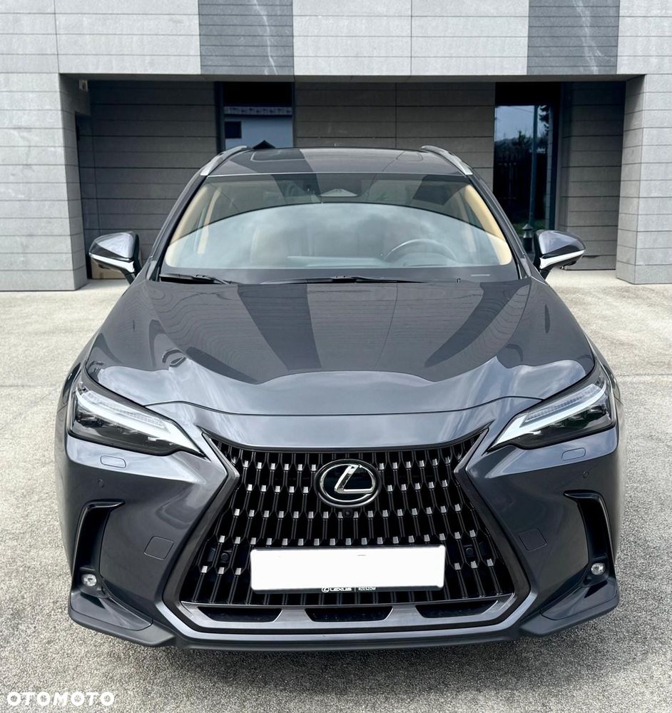 Lexus NX 350h Prestige AWD - 7