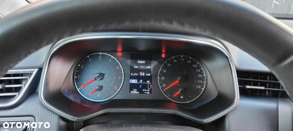 Renault Clio - 18